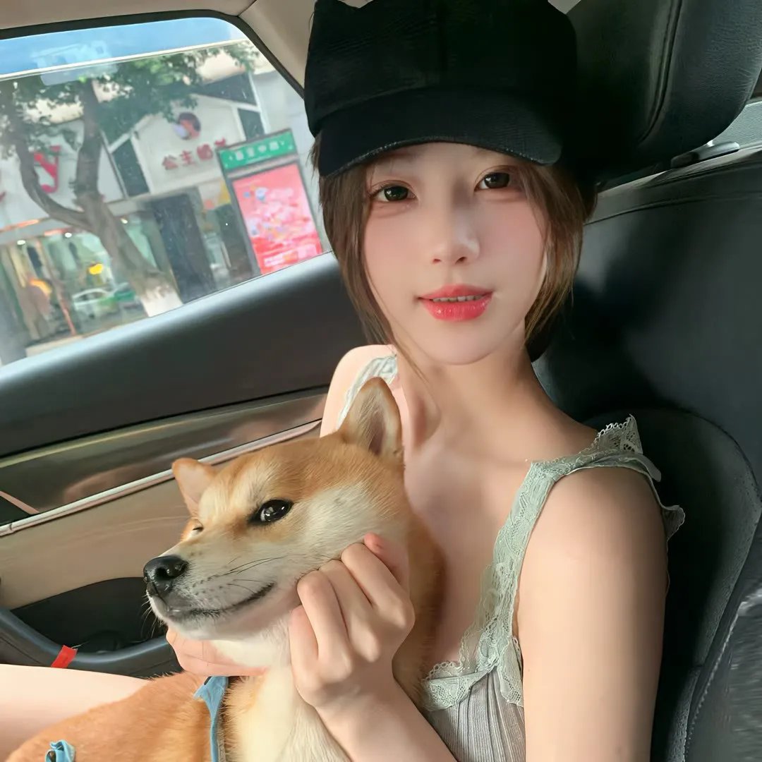 庇护所